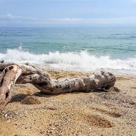 Apartamento Silver Delux Byala (Varna)